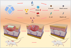 Graphical abstract: A multimodal therapy for infected diabetic wounds based on glucose-responsive nanocomposite-integrated microneedles