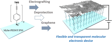 Graphical abstract: Robust large area molecular junctions based on transparent and flexible electrodes