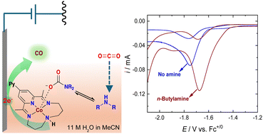 Graphical abstract: The influence of exogenous amines on the electrochemical CO2 reduction activity of a cobalt–pyridyldiimine catalyst