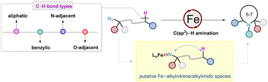 Graphical abstract: Iron-catalysed intramolecular C(sp3)–H amination of alkyl azides