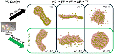 Graphical abstract: Automated descriptors for high-throughput screening of peptide self-assembly