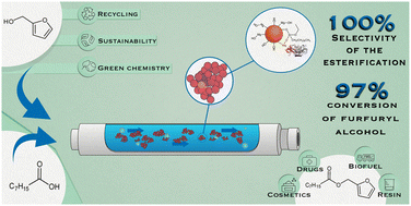 Graphical abstract: Robust biocatalyst for the green continuous flow synthesis of esters from biomass-derived furfuryl alcohol and C8–C18 carboxylic acids