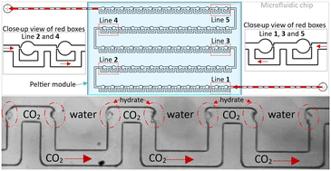 Graphical abstract: CO2 hydrate nucleation study: novel high-pressure microfluidic devices