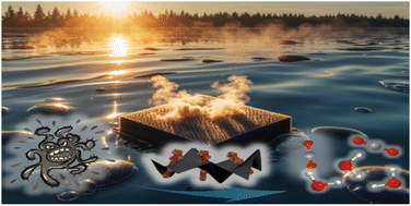 Graphical abstract: Monolith floatable dual-function solar photothermal evaporator: efficient clean water regeneration synergizing with pollutant degradation
