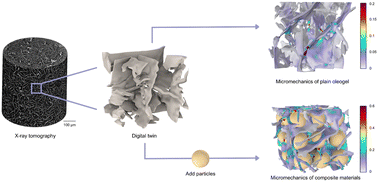 Graphical abstract: Micromechanical finite element modeling of crystalline lipid-based materials: monoglyceride-based oleogels and their composites