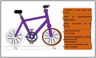 Graphical abstract: Synergism between copper and silver nanoclusters induces fascinating structural modifications, properties, and applications
