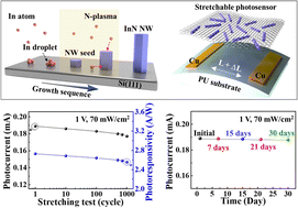 Graphical abstract: Stretchable photosensors with InN nanowires operating at a wavelength of 1.3 μm