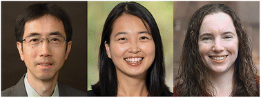 Graphical abstract: Nanocatalysis—facing a sustainable future