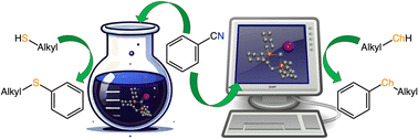 Graphical abstract: Exploring nickel-catalyzed organochalcogen synthesis via cross-coupling of benzonitrile and alkyl chalcogenols with computational tools
