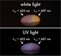 Graphical abstract: The intersection of field-limited density of states and matter: nanophotonic control of fluorescence energy transfer