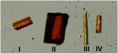 Graphical abstract: Experimental and theoretical investigations of the optical and photoluminescence behaviour of a tetramorphic ternary molecular salt cocrystal – a quantum crystallography perspective