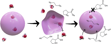 Graphical abstract: Insights into the molecular association of aqueous deep eutectic solvents using cell permeability