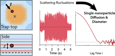 Graphical abstract: Sizing single trapped nanoparticles with interferometric scattering fluctuations