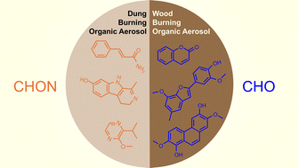 Graphical abstract: Atmospheric brown carbon from biofuel pyrolysis: comparative analysis of dung and wood sources