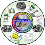 Graphical abstract: Synergistic effects of metal-modified carbon nanotubes: experimental characterization and theoretical modeling for energy and environmental solutions