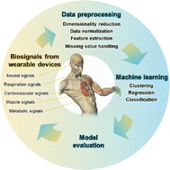 Graphical abstract: Machine learning in biosignal analysis from wearable devices