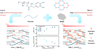 Graphical abstract: Boosting thermal conductivity of boron nitride incorporated polymer composites via hydrogen bonding engineering