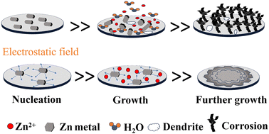 Graphical abstract: Ferroelectric small molecule enabled high-performance zinc-ion batteries