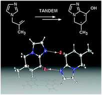 Graphical abstract: Phosphabarrelene-modified Rh-catalysts: a new and selective route towards hydroxy-functionalized bicyclic imidazoles via tandem reactions