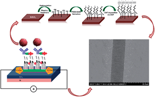 Graphical abstract: Electrical immunosensor based on dielectrophoretically-deposited carbon nanotubes for detection of influenza virus H1N1