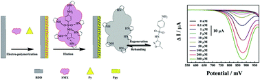 Graphical abstract: An electrochemical sensor for selective determination of sulfamethoxazole in surface water using a molecularly imprinted polymer modified BDD electrode
