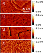 Graphical abstract: Nano-scale characterization of binary self-assembled monolayers under an ambient condition with STM and TERS