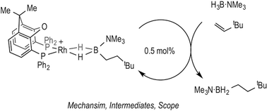 Graphical abstract: Exploring the mechanism of the hydroboration of alkenes by amine–boranes catalysed by [Rh(xantphos)]+