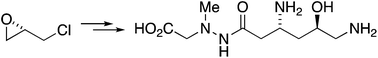 Graphical abstract: A total synthesis of (+)-negamycin through isoxazolidine allylation