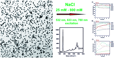 Graphical abstract: Influence of various chloride ion concentrations on silver nanoparticle transformations and effectiveness in surface enhanced Raman scattering for different excitation wavelengths