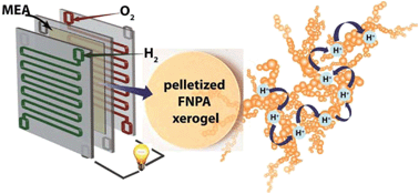 Graphical abstract: Fe(iii) phytate metallogel as a prototype anhydrous, intermediate temperature proton conductor