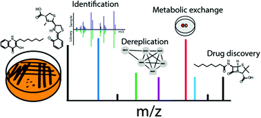 Graphical abstract: Mass spectrometry tools and workflows for revealing microbial chemistry