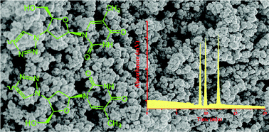 Graphical abstract: Preparation of a poly(3′-azido-3′-deoxythymidine-co-propargyl methacrylate-co-pentaerythritol triacrylate) monolithic column by in situ polymerization and a click reaction for capillary liquid chromatography of small molecules and proteins