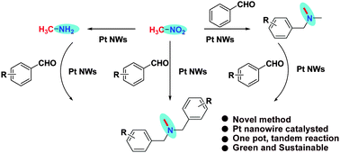 Graphical abstract: Novel synthesis of N-alkyl amines from tandem coupling of either methylamine or nitroalkane with aldehyde