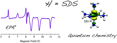 Graphical abstract: Determination and prediction of the magnetic anisotropy of Mn ions