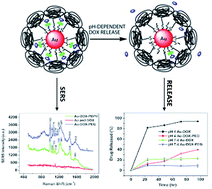 Graphical abstract: In vitro study of a pH-sensitive multifunctional doxorubicin–gold nanoparticle system: therapeutic effect and surface enhanced Raman scattering