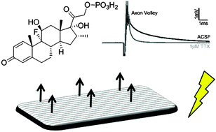 Graphical abstract: Multiphoton microfabrication of conducting polymer-based biomaterials