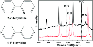 Graphical abstract: Time-dependent SERS spectra monitoring the dynamic adsorption behavior of bipyridine isomerides combined with bianalyte method