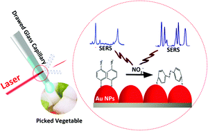 Graphical abstract: Reliable SERS detection of nitrite based on pH and laser irradiance-dependent diazotization through a convenient sampling micro-chamber