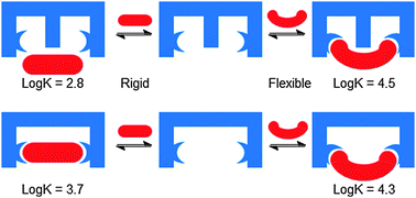 Graphical abstract: Using steric bulk for selective recognition; blocking the binding site to differentiate guests