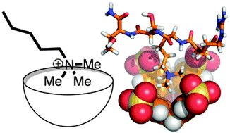 Graphical abstract: Host–guest chemistry that directly targets lysine methylation: synthetic host molecules as alternatives to bio-reagents