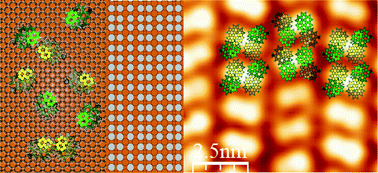 Graphical abstract: Chiral expression of adsorbed (MP) 5-amino[6]helicenes: from random structures to dense racemic crystals by surface alloying