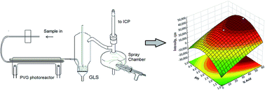 Graphical abstract: System optimization for determination of cobalt in biological samples by ICP-OES using photochemical vapor generation