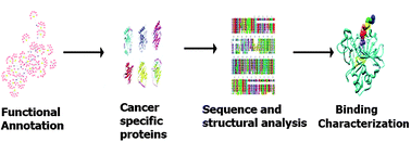 Graphical abstract: Elucidation, functional clustering and structural characterization of βTrCP1 substrates through a molecular dynamics study