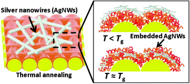 Graphical abstract: Facilitated embedding of silver nanowires into conformally-coated iCVD polymer films deposited on cloth for robust wearable electronics