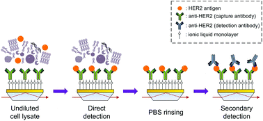 Graphical abstract: Ultra-low fouling methylimidazolium modified surfaces for the detection of HER2 in breast cancer cell lysates