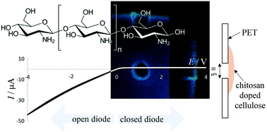 Graphical abstract: Cellulose ionics: switching ionic diode responses by surface charge in reconstituted cellulose films