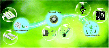 Graphical abstract: Single-cell assay on microfluidic devices