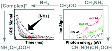 Graphical abstract: Experimental and computational studies of Criegee intermediate reactions with NH3 and CH3NH2