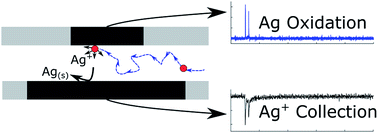 Graphical abstract: Single Ag nanoparticle collisions within a dual-electrode micro-gap cell