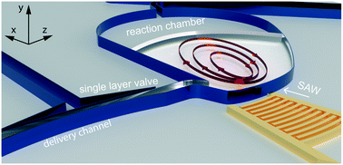 Graphical abstract: Versatile platform for performing protocols on a chip utilizing surface acoustic wave (SAW) driven mixing